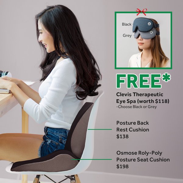 Posture Support Bundle (Back Rest + Seat Cushion)