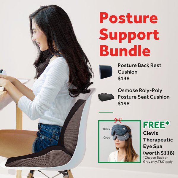 Posture Support Bundle (Back Rest + Seat Cushion)