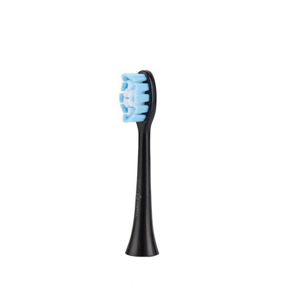 Sonic Toothbrush